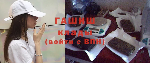 apvp Алзамай