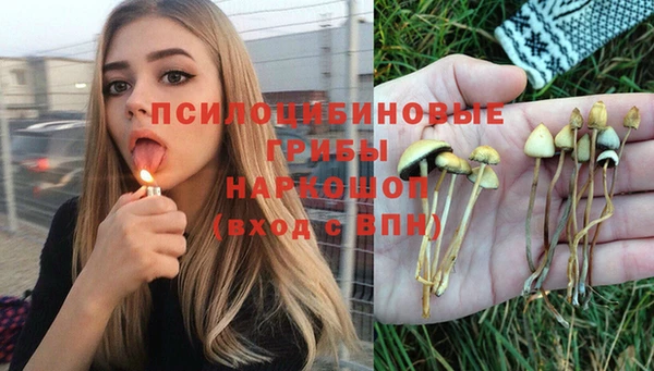 индика Алексин