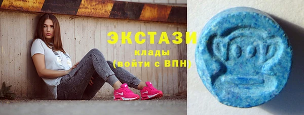apvp Алзамай