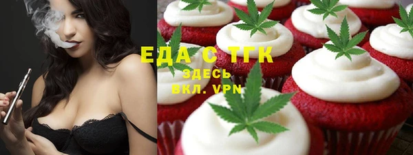 индика Алексин