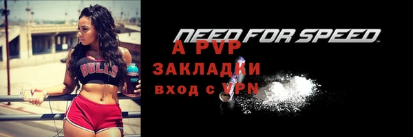 индика Алексин