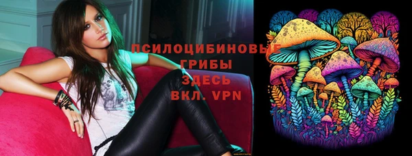 индика Алексин