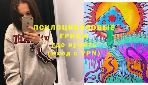 индика Алексин