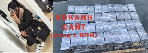индика Алексин