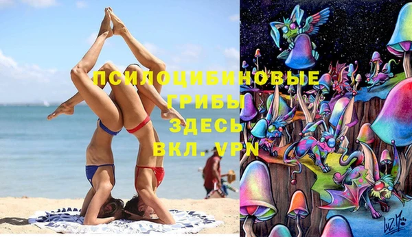 индика Семикаракорск