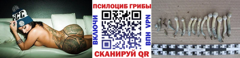 Псилоцибиновые грибы мухоморы  mega зеркало  Ковылкино  купить закладку 
