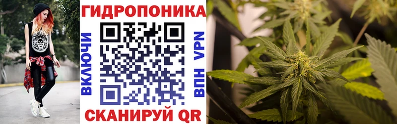 Бошки марихуана VHQ Ковылкино